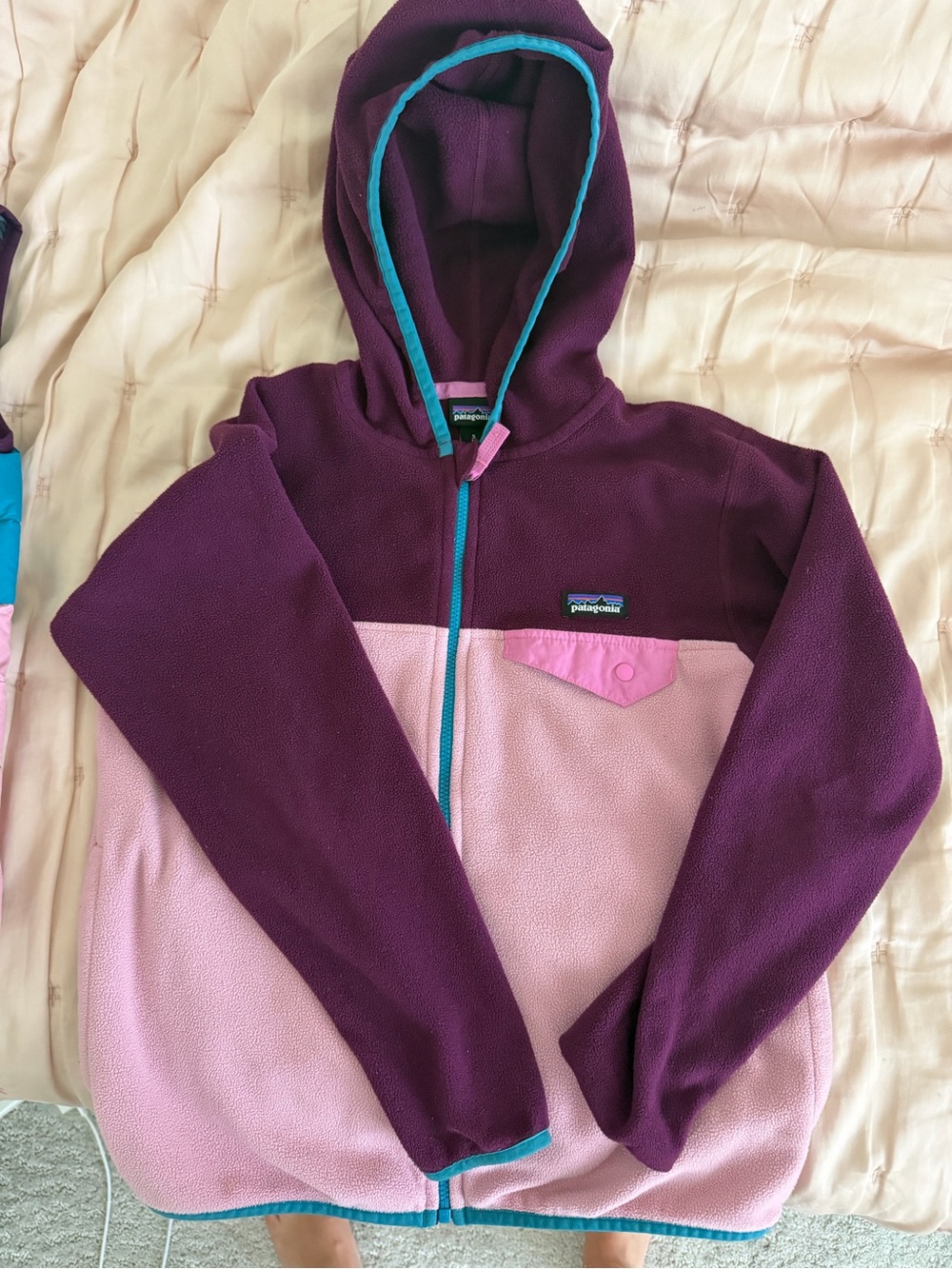 Patagonia Kids' Micro D Snap-T Fleece Jacket